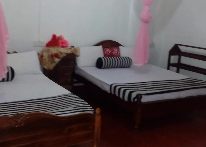 Forest Paddy Homestay